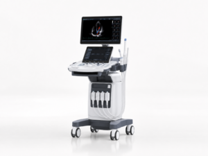 Cardiology